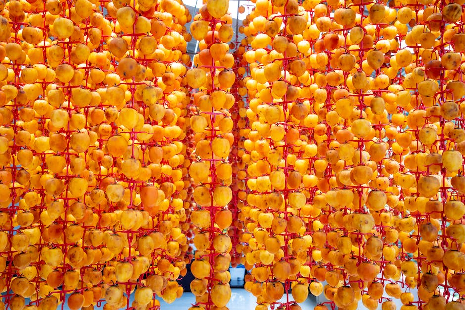 Orangenreife in Spanien