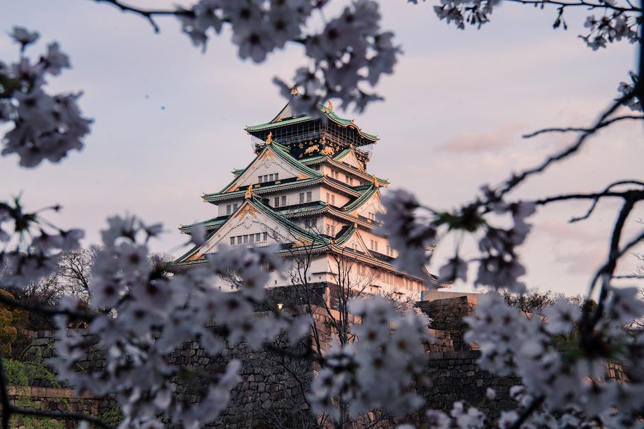  Japan Spanien Spielstrategie